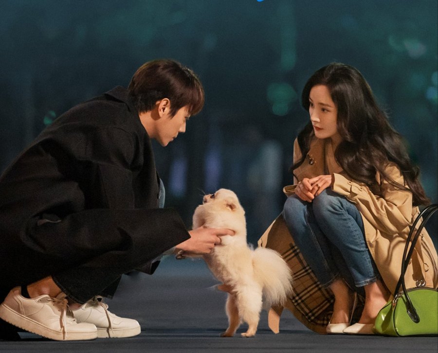 SHE AND HER PERFECT HUSBAND 3