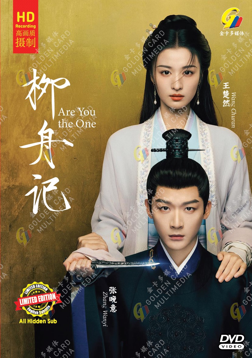 ARE YOU THE ONE - TV