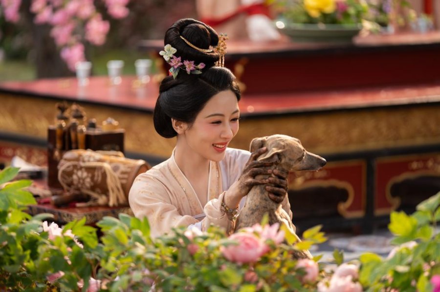 IN THE NAME OF BLOSSOM 3