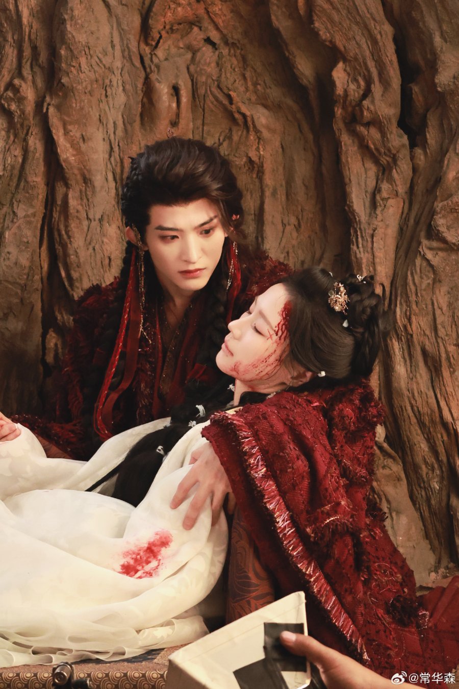 VEIL OF SHADOWS - TV - Image 5